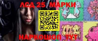 индика Будённовск