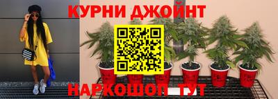 прущие грибы Бузулук