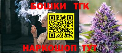 индика Будённовск