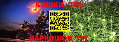 индика Будённовск