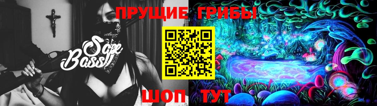 Саранск  Псилоцибиновые грибы мухоморы  Вход с VPN  Псилоцибиновые грибы Psilocybe 